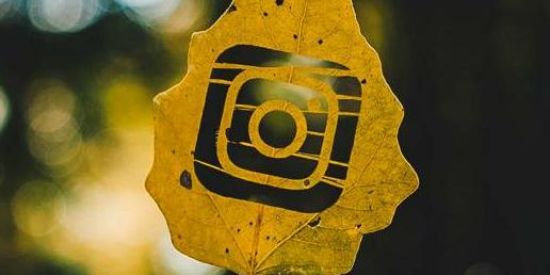 Imagem do grupo de WhatsApp OficialGSNI