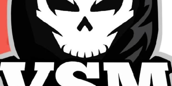 Imagem do grupo de WhatsApp Recrutamento VSM💀