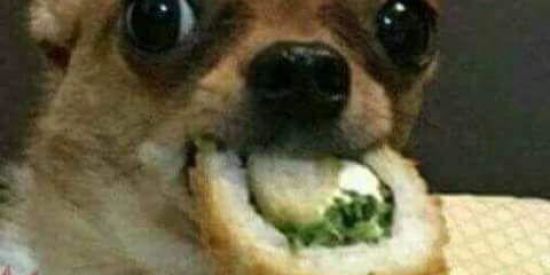 Imagem do grupo de WhatsApp FIGURINHAS P🍩DER👽SAS