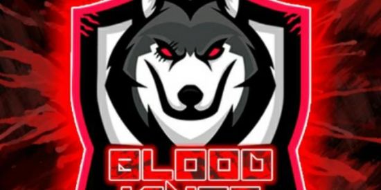 Imagem do grupo de WhatsApp Ganhe seguidores no INSTAGRAM🔥