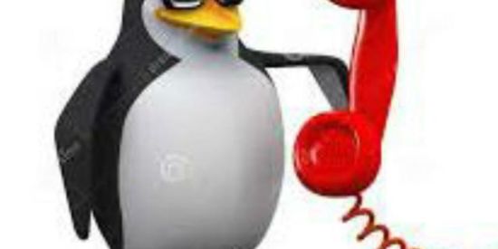 Imagem do grupo de WhatsApp Zueiros FC