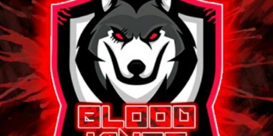 Imagem do grupo de WhatsApp Bombe no Instagram 🍃 0️⃣2️⃣