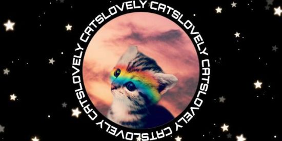 Imagem do grupo de WhatsApp Família seguidores.,.💞