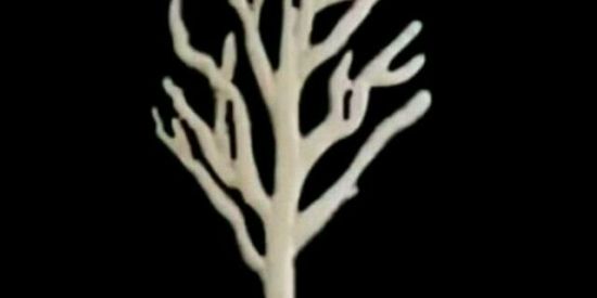 Imagem do grupo de WhatsApp 👻☠️Caçadores de Lendas👻☠️