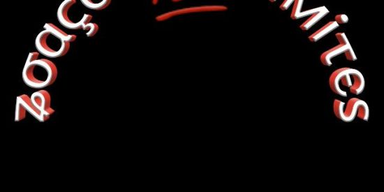 Imagem do grupo de WhatsApp ʑσαçãσ 💯 liмiτєs