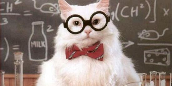 Imagem do grupo de WhatsApp LokozZ