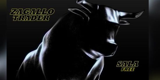 Imagem do grupo de WhatsApp ZAGALLO TRADER FREE📊🚀