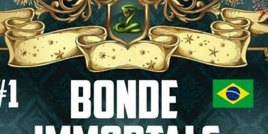 Imagem do grupo de WhatsApp *GANHAR SEGUIDORES*⚡✊🏼