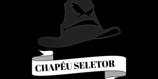 Imagem do grupo de WhatsApp Chapéu Seletor
