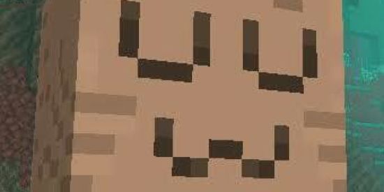 Imagem do grupo de WhatsApp ShitWorld👻