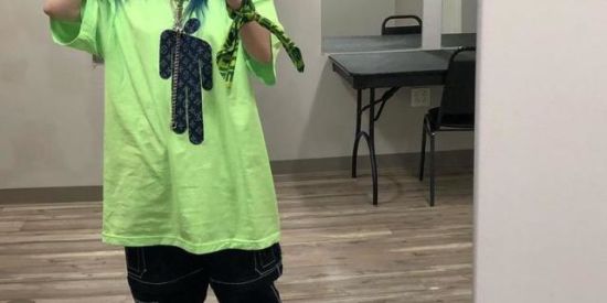 Imagem do grupo de WhatsApp 💚🖤ғãs ᴅᴇ ʙɪʟʟɪᴇ ᴇɪʟɪsʜ🖤💚