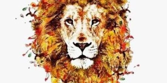 Imagem do grupo de WhatsApp Projeto ♔wrs♔