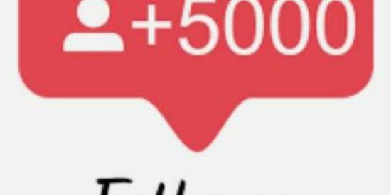 Imagem do grupo de WhatsApp Projeto seguidores