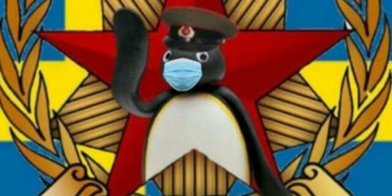 Imagem do grupo de WhatsApp 🇸🇪 ORDEM SUECA SHITPOST 🇸🇪