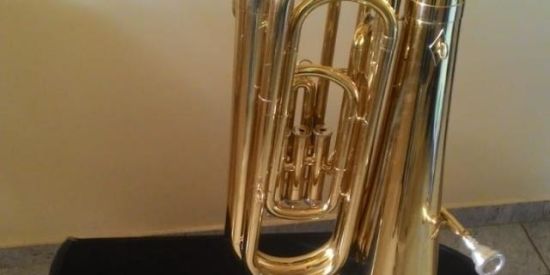 Imagem do grupo de WhatsApp Venda de instrumento SP