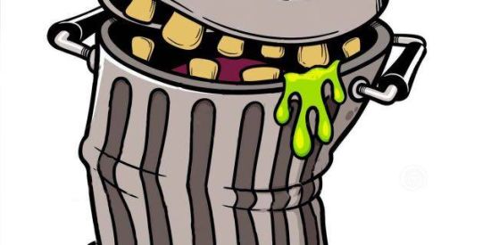 Imagem do grupo de WhatsApp LIXEIRA DE VIDEOS 🗑🚮