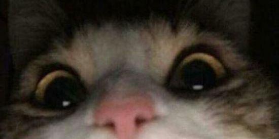 Imagem do grupo de WhatsApp Zueiralandia🤪🤪🤪