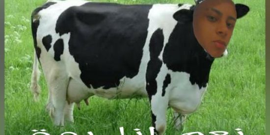 Imagem do grupo de WhatsApp 💩s ʜ ɪ ᴛ ᴘ ᴏ s ᴛ ᴀ ᴅ ᴏ💩