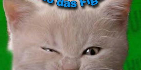 Imagem do grupo de WhatsApp (Universo das Figurinhas)