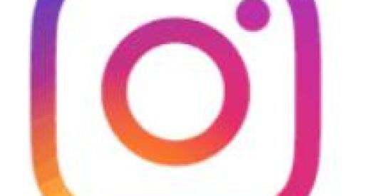 Imagem do grupo de WhatsApp Seguidores no Instagram 📲