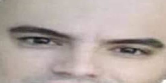 Imagem do grupo de WhatsApp Grupo da zoeira