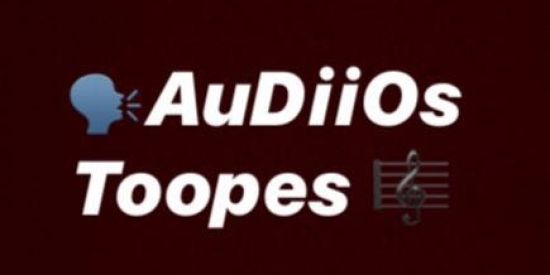 Imagem do grupo de WhatsApp 🗣AuDiiOs Toopes 🎼