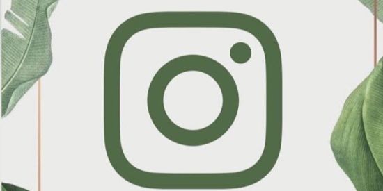 Imagem do grupo de WhatsApp Triagem Sempre Bela