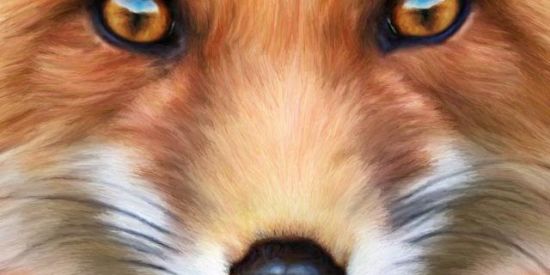 Imagem do grupo de WhatsApp RECRUTAMENTO BONDE ♚CB'ร♚