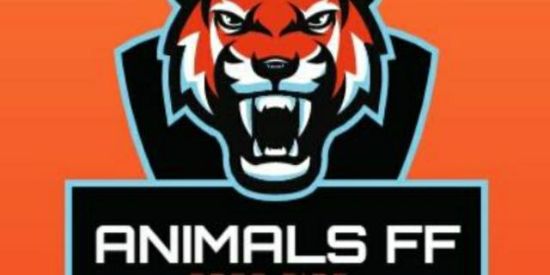 Imagem do grupo de WhatsApp 🦊 XTREINO DA ANIMALS 🦁