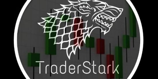 Imagem do grupo de WhatsApp TraderStark