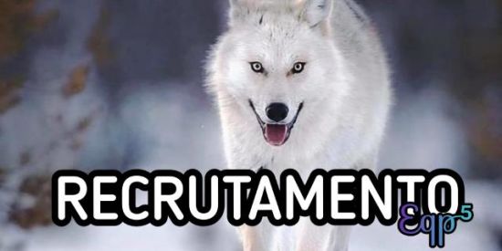 Imagem do grupo de WhatsApp 🦋 Recrutamento 🦋