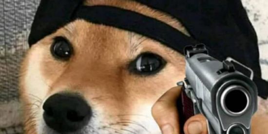 Imagem do grupo de WhatsApp ShitPost União Flasco🤚🏼😳🤚🏼🇨🇳