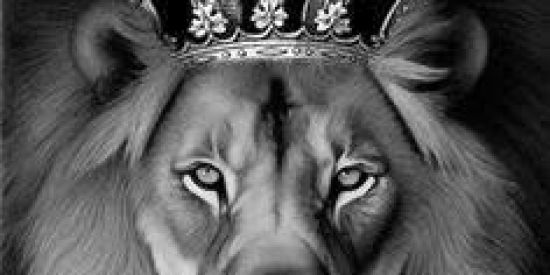 Imagem do grupo de WhatsApp Recrutamento adms