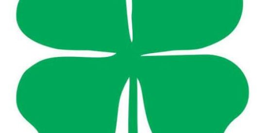 Imagem do grupo de WhatsApp Agora eu ganho Sorteios 🍀