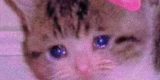 Imagem do grupo de WhatsApp Taum Lindu Min😯😍✨