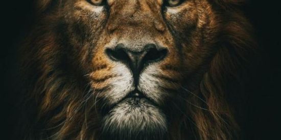 Imagem do grupo de WhatsApp 2°|  ༒мєgα_ρσωєr༒