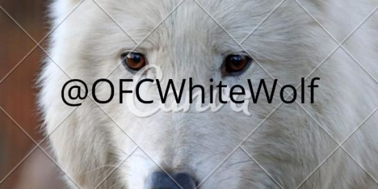 Imagem do grupo de WhatsApp @OfcWhiteWolf multiroes❤️