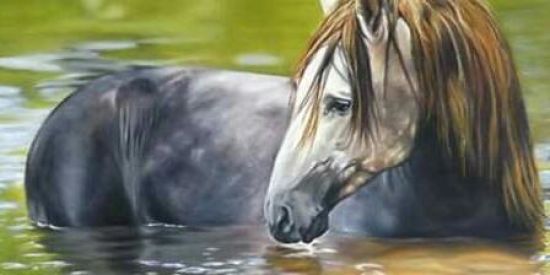 Imagem do grupo de WhatsApp Cavalos Uma Paixão ❤️🐎🐎🐎🐎