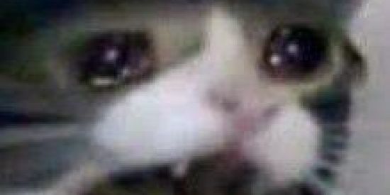 Imagem do grupo de WhatsApp ΔŇƗΜ€ ₣ŘƗ€ŇĐŞ