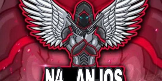 Imagem do grupo de WhatsApp Seletiva N4 ANJOS