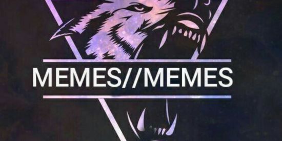 Imagem do grupo de WhatsApp MEMES//MEMES🇧🇷