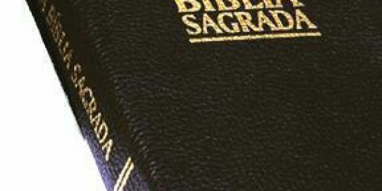 Imagem do grupo de WhatsApp Bíblicalgrupo/só a Biblia