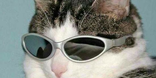 Imagem do grupo de WhatsApp ✨~;Ğ4ŢØ ČH4VË😎✨