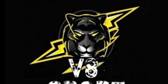 Imagem do grupo de WhatsApp 🎯XTREINO DA V8🎯