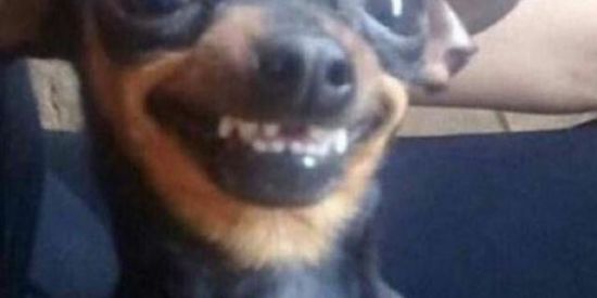 Imagem do grupo de WhatsApp Aleatório😂😂