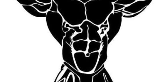 Imagem do grupo de WhatsApp Marombeiros