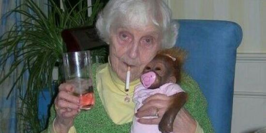 Imagem do grupo de WhatsApp Shit post