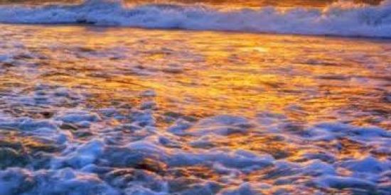 Imagem do grupo de WhatsApp MEMEFLIX😂😂