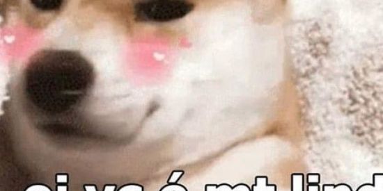 Imagem do grupo de WhatsApp madrugadores😏