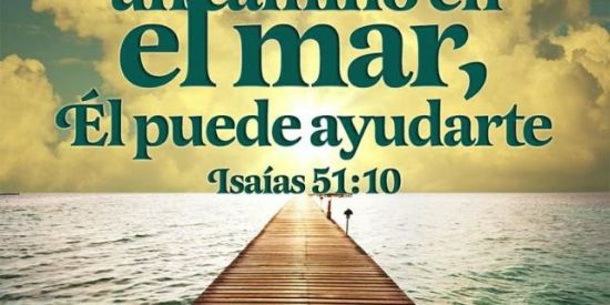 Imagem do grupo de WhatsApp 👨‍👩‍👧‍👧Grupo da Família 👨‍👩‍👦